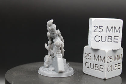 Elf Elven Guardian Gladiator Fighter Armor Helm Chain Blade 32mm Miniature Dnd Skirmish