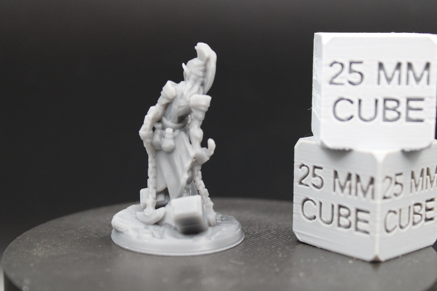 Elf Elven Guardian Gladiator Fighter Armor Helm Chain Blade 32mm Miniature Dnd Skirmish