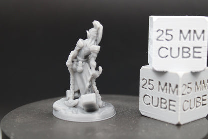 Elf Elven Guardian Gladiator Fighter Armor Helm Chain Blade 32mm Miniature Dnd Skirmish