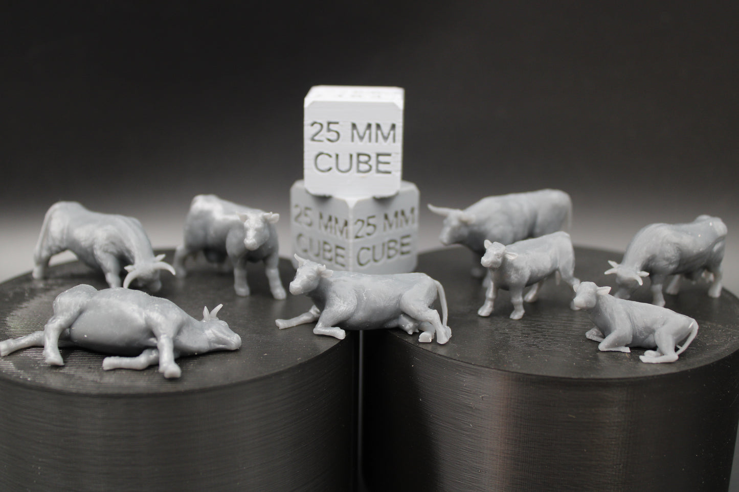 Farm Cow Steer Bull Calf Set of 8 28mm 32mm Miniature Dnd Skirmish