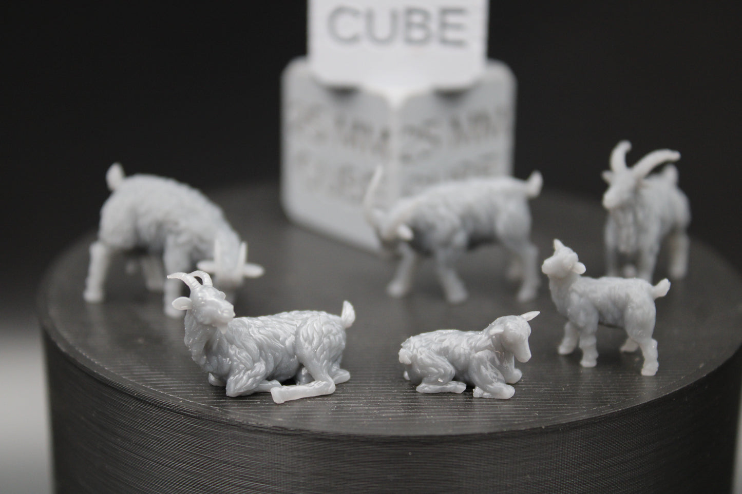 Farm Ram Sheep Goat Set of 6 28mm 32mm Miniature Dnd Skirmish