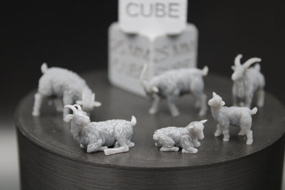Farm Ram Sheep Goat Set of 6 28mm 32mm Miniature Dnd Skirmish