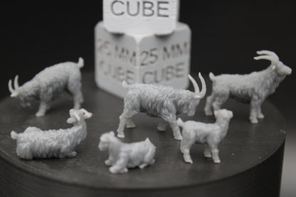 Farm Ram Sheep Goat Set of 6 28mm 32mm Miniature Dnd Skirmish