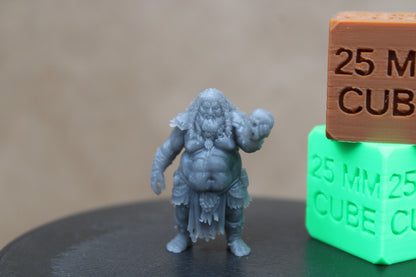 Tribal Shaman Witch Witchdoctor Bruja with Skull Miniature Dnd RPG wargame skirmish 32mm