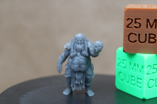 Tribal Shaman Witch Witchdoctor Bruja with Skull Miniature Dnd RPG wargame skirmish 32mm