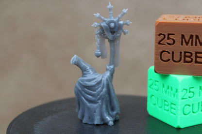 Necromancer Maggot Pestilence Summoner Sorcerer Wizard Miniature Dnd RPG wargame skirmish 32mm