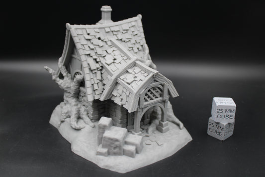 Tabletop Terrain Witch Hermit Cursed Forest Ranger Cottage Dnd RPG wargame skirmish 28-32mm