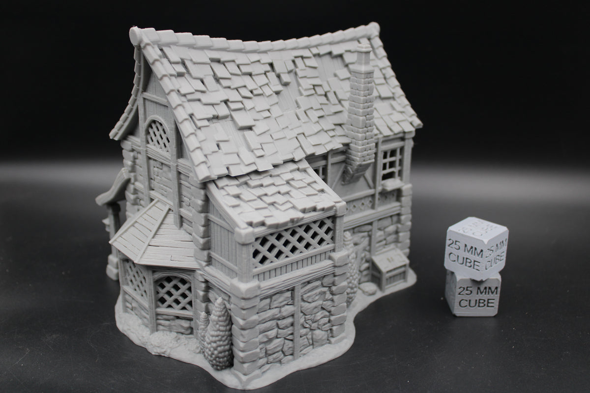 Tabletop Terrain Manor Estate Baron House Dnd RPG wargame skirmish 28-32mm